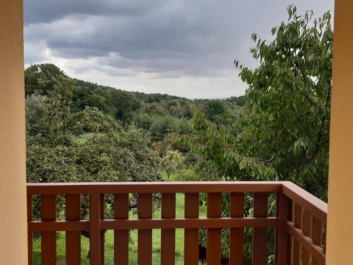 Apartmany U Zvonicky Prachov المظهر الخارجي الصورة